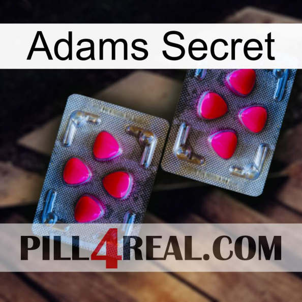 Adams Secret 15.jpg